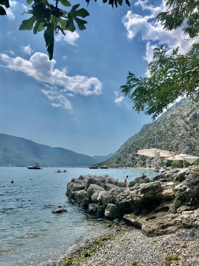 Lemon Tree Villa Kotor Exteriér fotografie