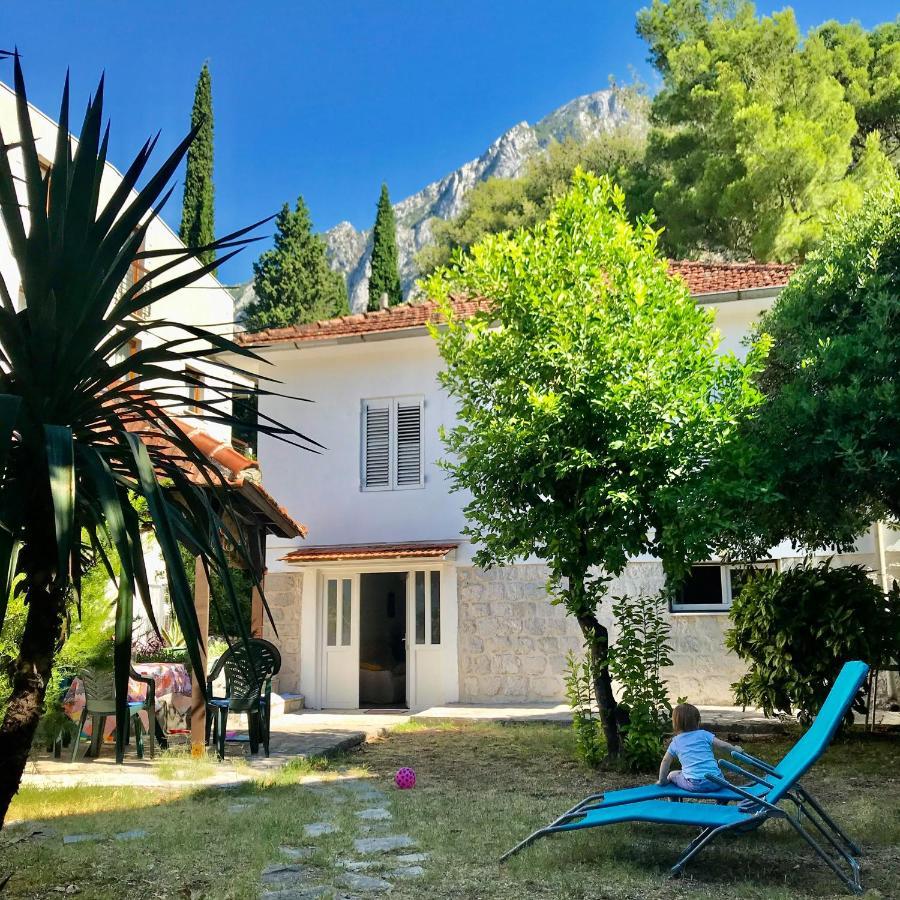 Lemon Tree Villa Kotor Exteriér fotografie