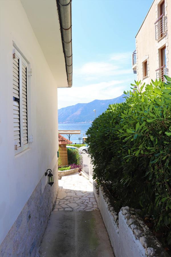 Lemon Tree Villa Kotor Exteriér fotografie